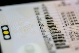 Driving licence categories Führerscheinkategorien A oder B oder C oder C + E oder D im Fokus