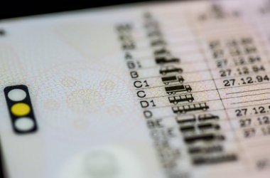 Führerscheinkategorien A oder B oder C oder C + E oder D im Fokus