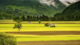 Field Valley Landscape Field Valley Landscape