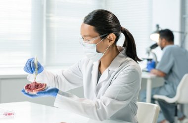 Contemporary gloved scientific researcher taking sample of raw vegetable meat
