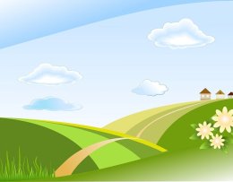 Landschaft, Feld, Sommer