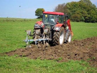Traktor bricht mit Pflug Grünland um