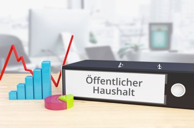 Öffentlicher Haushalt – Finanzen/Wirtschaft. Ordner auf Schreibtisch mit Beschriftung neben Diagrammen. Business