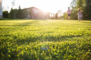 lawn at home. running children in blur. On a Sunny summer day.