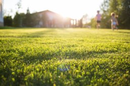lawn at home. running children in blur. On a Sunny summer day. lawn at home. running children in blur. On a Sunny summer day.