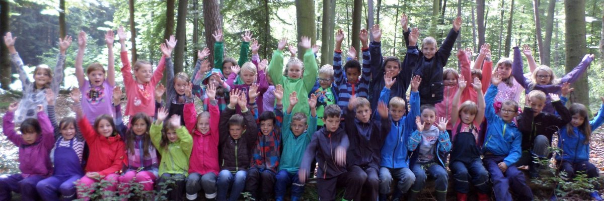 
Kinder in Wald