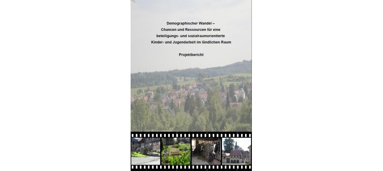 Buch Demographischer Wandel als PDF