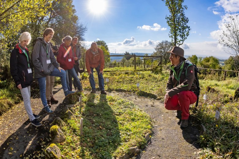 Habichtskräuter, Glockenblumen, Heilkräuter, Bauerngarten viele weiter Besonderheiten: Susanne Jost (rechts), Geo- und Naturparkführerin sowie Mitarbeiterin im Amt für Bauen und Umwelt des Vogelsbergkreises, erläutert Exkursionsteilnehmerinnen und –teilnehmern den Vogelsberggarten am Ulrichsteiner Schlossberg.
