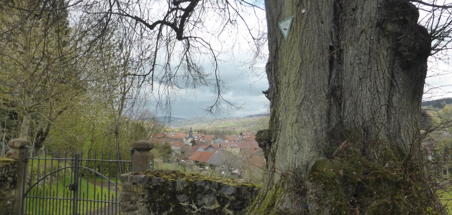 Blick vom Burkhardser Friedhof mit seinen 4 alten Linden über das Niddertal