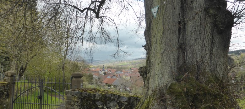Blick vom Burkhardser Friedhof mit seinen 4 alten Linden über das Niddertal