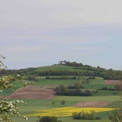 Panoramabild, auf dem Wiesen, Äcker, Hecken und eine Erhebung zu sehen sind. Markant ist die Bils-Kuppe bei Lauterbach-Maar