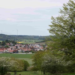 Blick über die Streuobstwiese mit Maar im Hintergrund