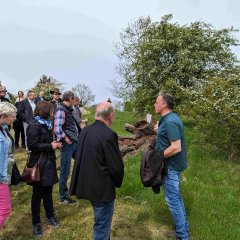 Christian Merle gibt Informationen zu einem Waldameisen-Bau in einem toten Holzstamm