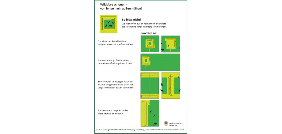 Abbildung wildtierschonende Mahd