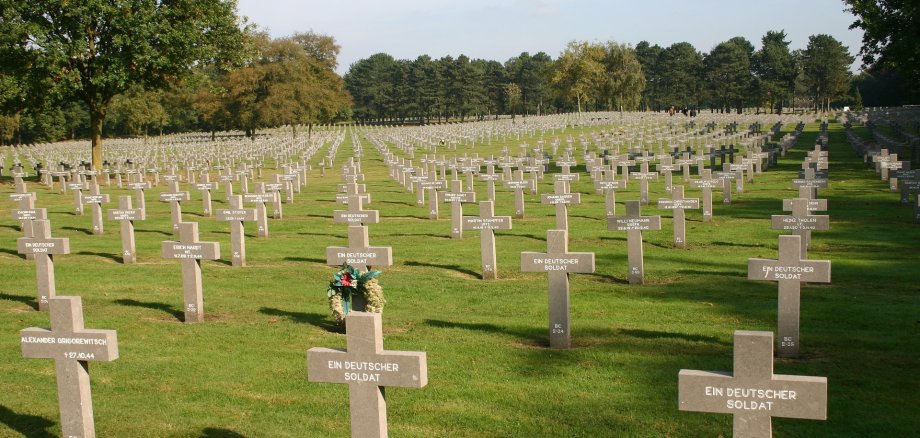 Symbolbild: ein Soldatenfriedhof mit langen Reihen von Gräbern