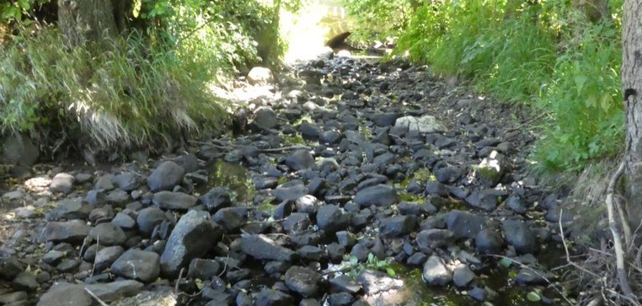 Der Gilgbach bei Bobenhausen II. Der BAchlauf ist fast komplett ausgetrocknet. Unter Bäumen mit grünen Blättern sind viele Steine zu sehen, die normalerweise mit Wasser überspült wären.