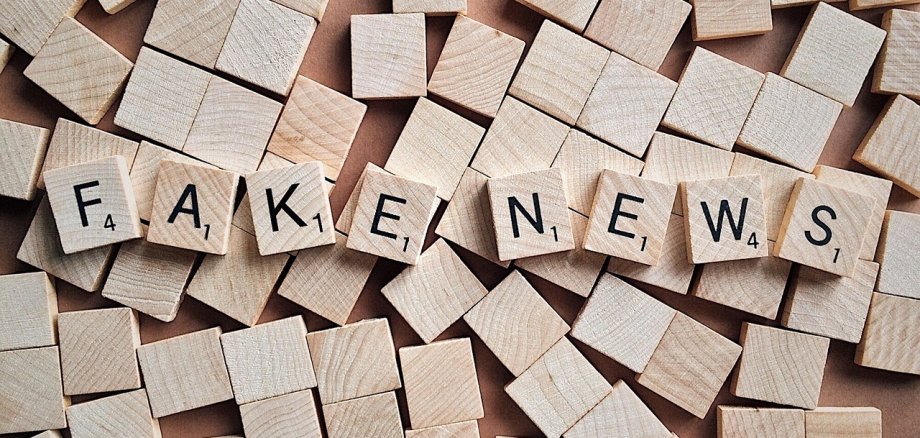 Auf mit Buchstaben bedruckten Holzklötzchen ist "Fake news" zu lesen