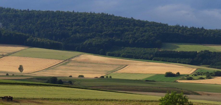 Panoramabild mit Höhenzügen, Wald und Feldern