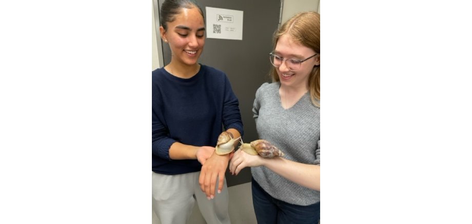 Zwei Jugendliche halten große Achatschnecken auf den Händen.