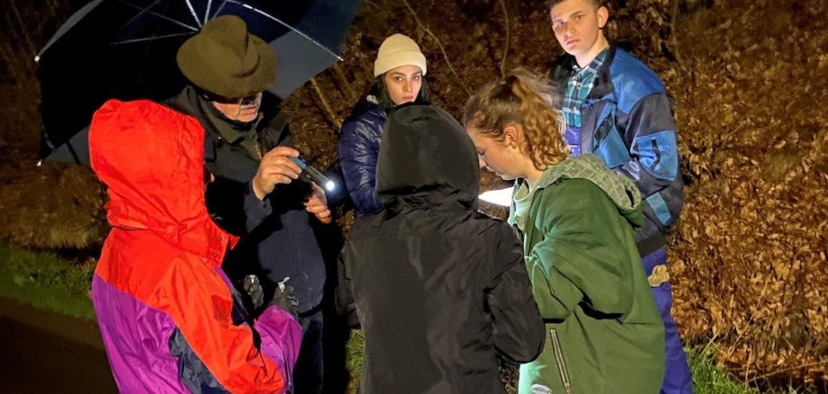 Der Umweltschutzbeauftrage der Gemeinde Grebenau, Arno Eifert, gemeinsam mit den KJP-Abgeordneten Annamaria Weber, Ronny Kube, Amelie Theis, Nabaa Al-Asadi und Laura Tkotz vom Jugendamt beim ersten Einsatz zur Rettung der Feuersalamander und Kröten in Grebenau (von links). 