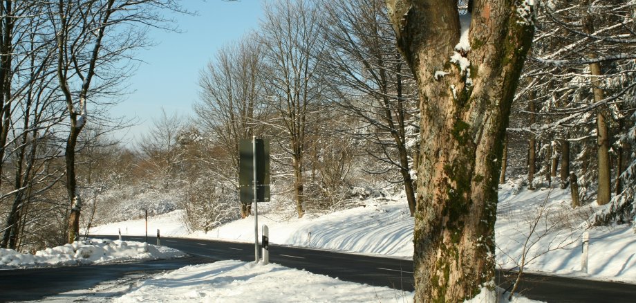 Winter Schnee Landstraße mit Baum