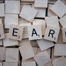Scrabbleteile mit dem englischen Wort für lernen: learn