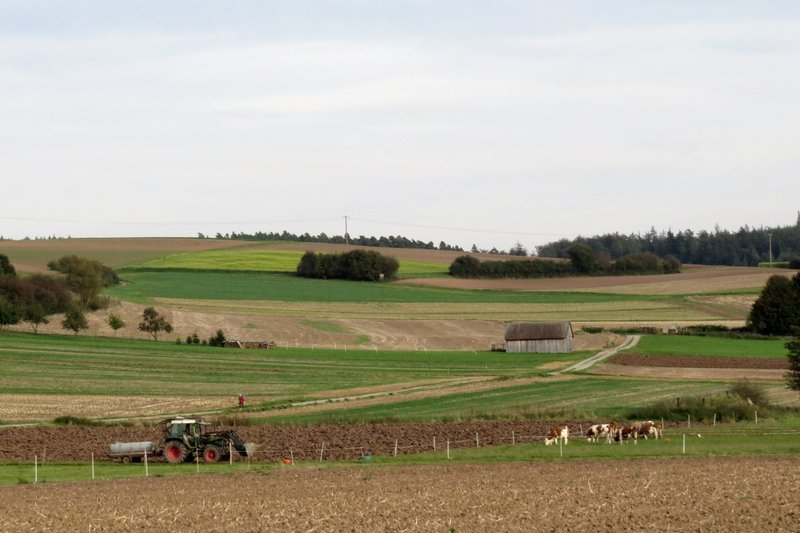 Ein Panoramabild. DArauf Felder und Wiesen, ein Traktor fährt über einen WEg.