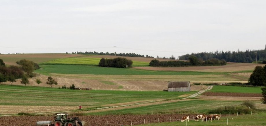 Ein Panoramabild. DArauf Felder und Wiesen, ein Traktor fährt über einen WEg.