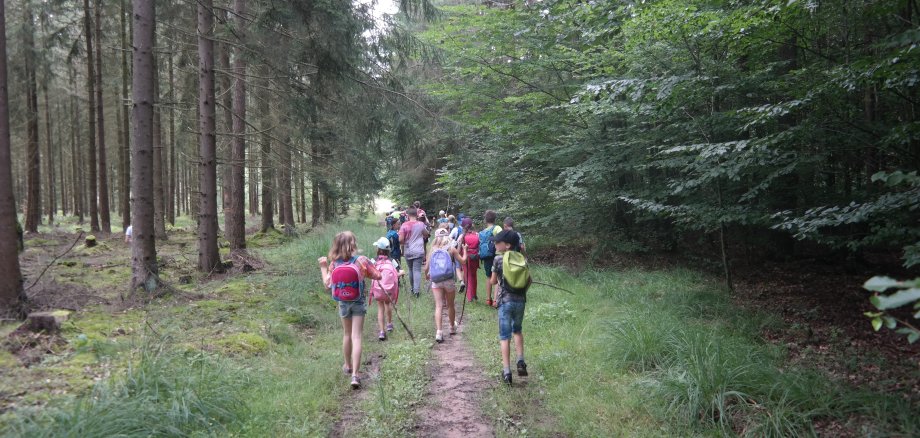 Kinder auf einer Wanderung durch den Wald