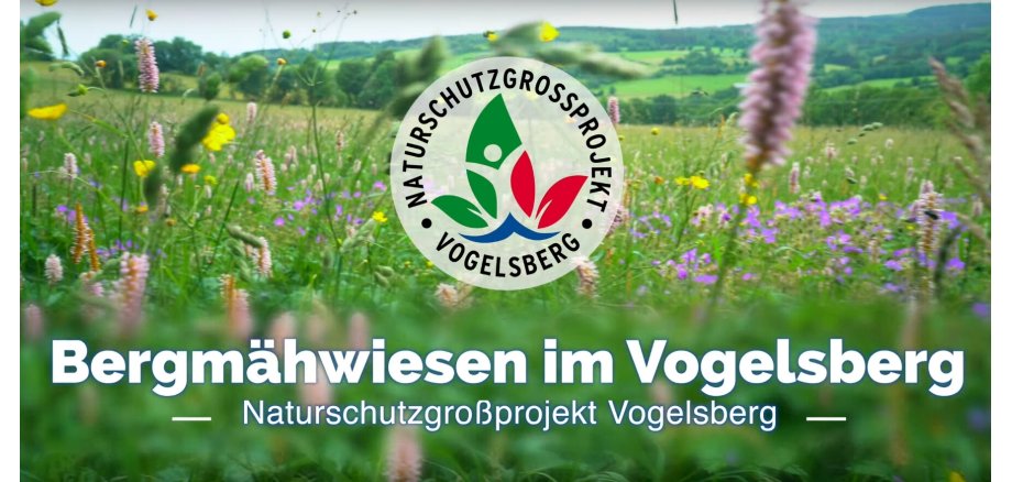 Screenshot zum Imagefilm des Naturschutzgroßprojekts. Zu sehen ist ein Logo und der Schriftzug "Bergmähwiesen im Vogelsberg". im Hintergrund eine grüne Wiese und Wald
