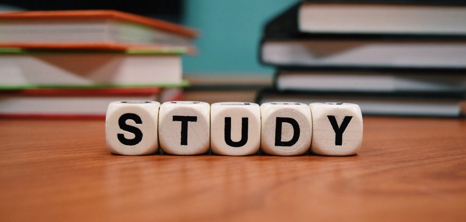 Symbolbild: Würfel mit Buchstaben sind aufgereiht und zeigen das Wort "study" - Englisch für Studieren