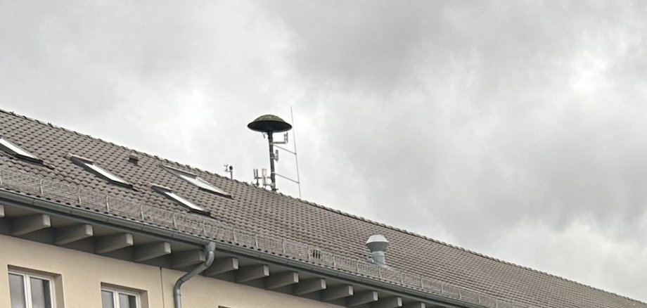 Sirene auf einem mit dunklen Ziegeln gedeckten Dach