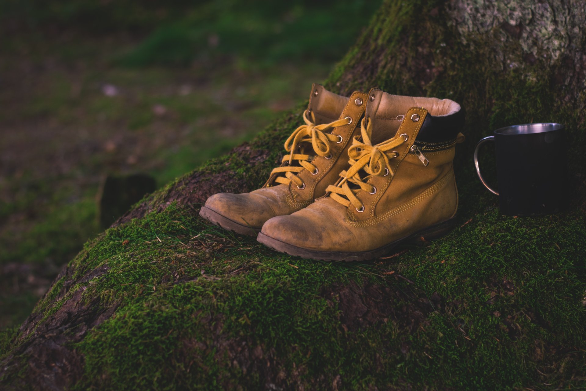abgelaufene Wanderschuhe stehen auf einem Wurzelstock. Auch ein Becher ist zu sehen. 
