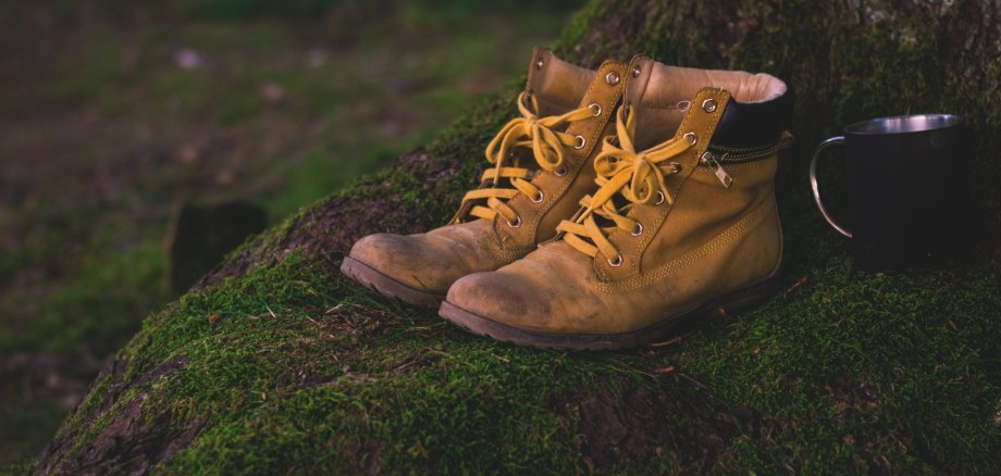 abgelaufene Wanderschuhe stehen auf einem Wurzelstock. Auch ein Becher ist zu sehen.