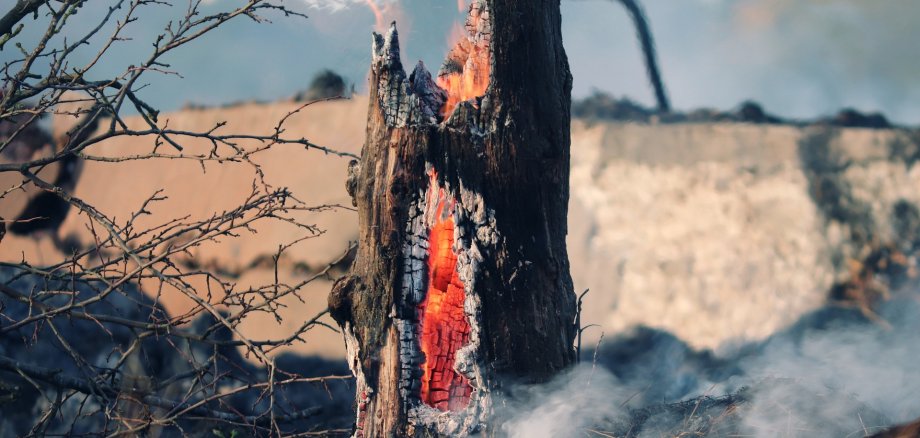ein Brennender Baumstumpf. In seinem Inneren rot und orange schimmernde Glut und Rauch. 