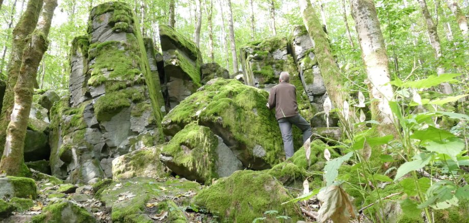 Eines von vielen interessanten Geotopen im Vogelsbergkreis: die Uhuklippen in Grebenhain. 