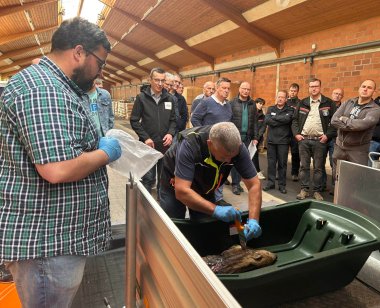 Tiergesundheitsaufseher Udo Herold und sein Kollege Heiko Wiegand (links) demonstrieren, wie die Beprobung des toten Frischlings vorgenommen wird.