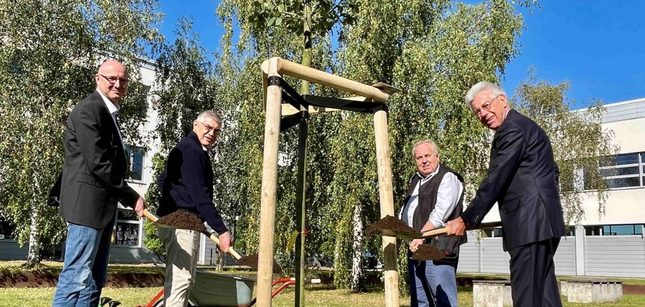 Pflanzen gemeinsam eine Buche: Landrat Ludger Weskamp, Landrat Manfred Görig, der Vogelsberger Kreistagsvorsitzende Dr. Hans Heuser und Dr. Wolfgang Krüger, Vorsitzender des Kreistages Oberhavel.   