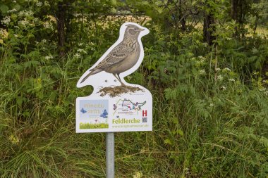 Entlang des Familienpfads warten Informationstafeln zu verschiedenen Entdeckungen in der Natur. Auf dem Foto ist eine Tafel mit dem Vogel Feldlerche zu sehen. 