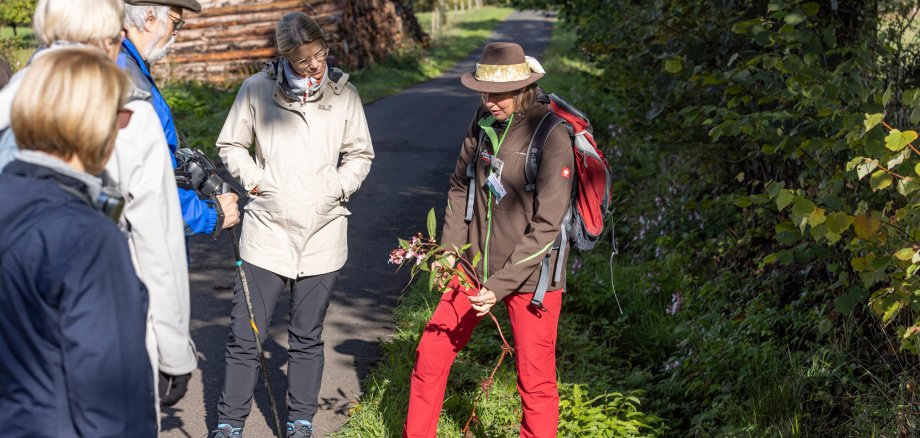 Geführte Wanderung auf dem Bergmähwiesen-Pfad im Vogelsberg am 7. Hessischen Tag der Nachhaltigkeit. Eine Expertin erläutert einer Wandergruppe die verschiedenen Pflanzenarten am Wegesrand.