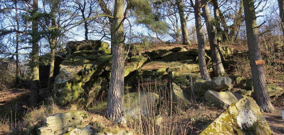 Steinbrocken in einem Wald. Das eindrucksvolle Geotop Dicke Steine bei Nieder-Ofleiden
