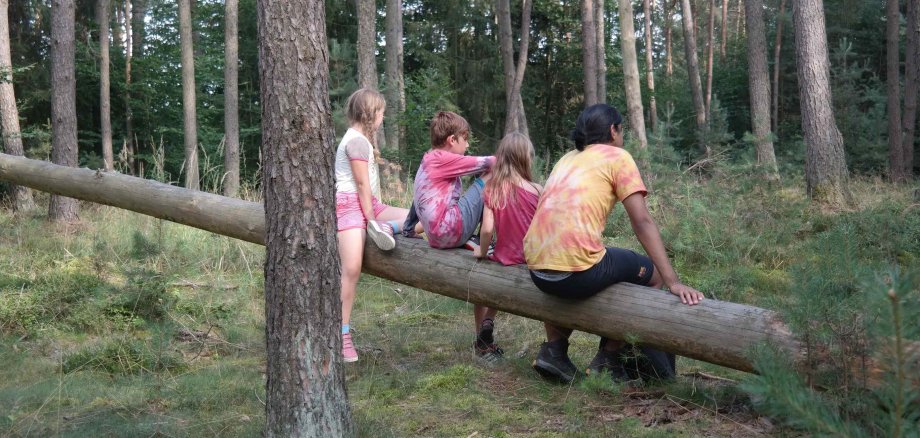 Vier Kinder sitzen auf einem umgefallenen Baum in einem Kiefernwald. Sie haben bunte T-Shirts an.