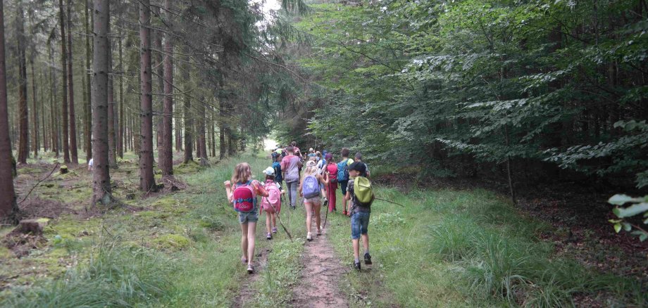 eine Gruppe Kinder geht in einem Wald spazieren. 