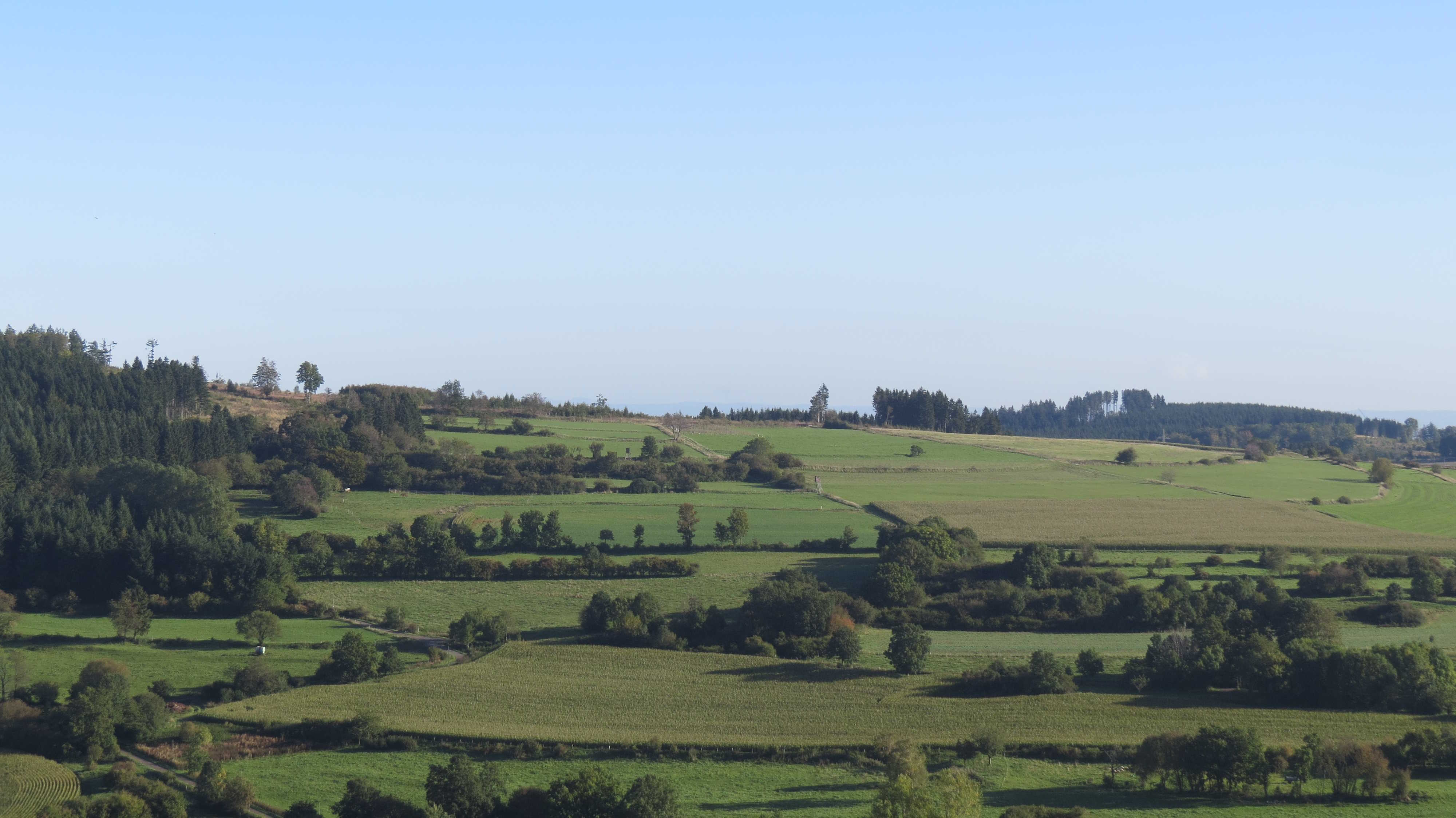 Feldgehölze, Sträucher und Hecken – im Vogelsbergkreis sind sie an vielen Äckern, Wiesen und Wegesrändern anzutreffen und bieten Vögeln, Insekten und Pflanzenarten Rückzugsräume.