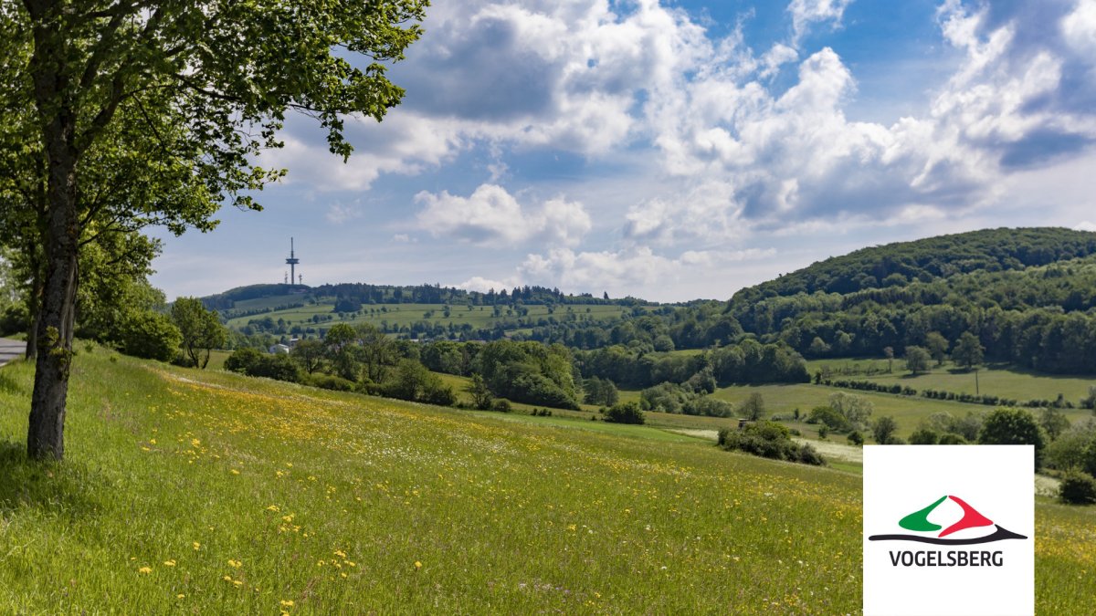 Landschaftsaufnahme vom Hoherodskopf. Darauf sind viele Wiesen und Waldstücke zu sehen. Im Hintergrund ragt ein Funkturm in die Höhe. 