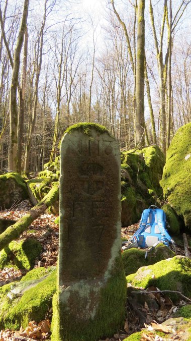 Ein moosbewachsener jahrhunderteralter Grenzstein inmitten von Basaltsteinen in einem Wald. Das Geotop und Naturdenkmal “Burgfrieden“ ist eine der größten Basaltblockhalden in der Vulkanregion Vogelsberg und markiert heute noch die Grenze zwischen Herbstein und Lanzenhain.