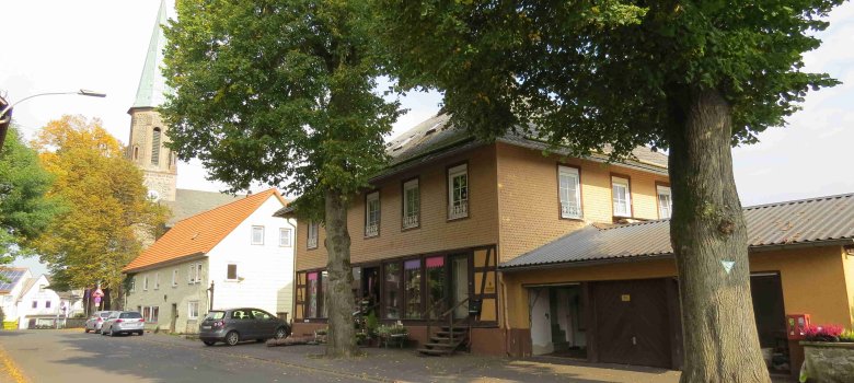 Zwei Linden am Marktplatz in Ulrichstein