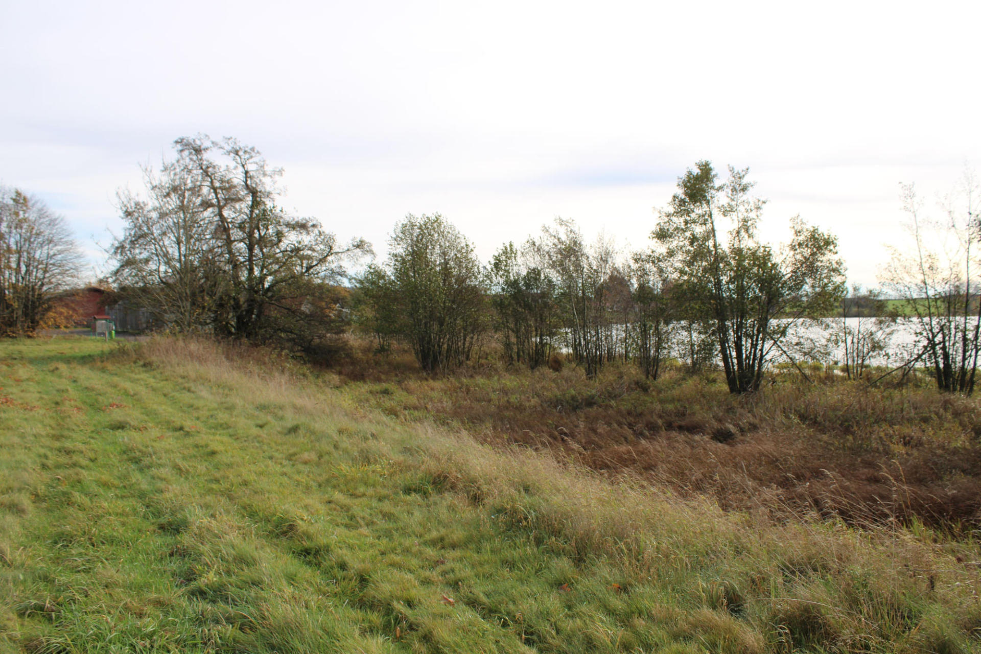 Entbuschung Ober-Moos