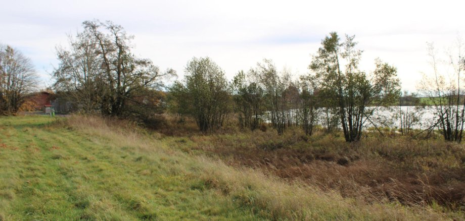 Entbuschung Ober-Moos