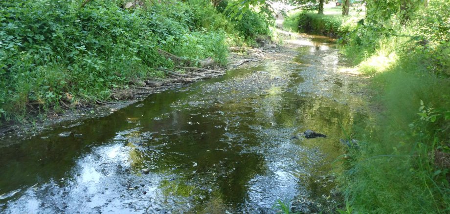  Der Streitbach bei Groß-Eichen verzeichnet einen niedrigen Wasserstand. Das ab Sonntag geltende Wasserentnahmeverbot soll dabei helfen, die angespannte Lage nicht weiter zu verschärfen.